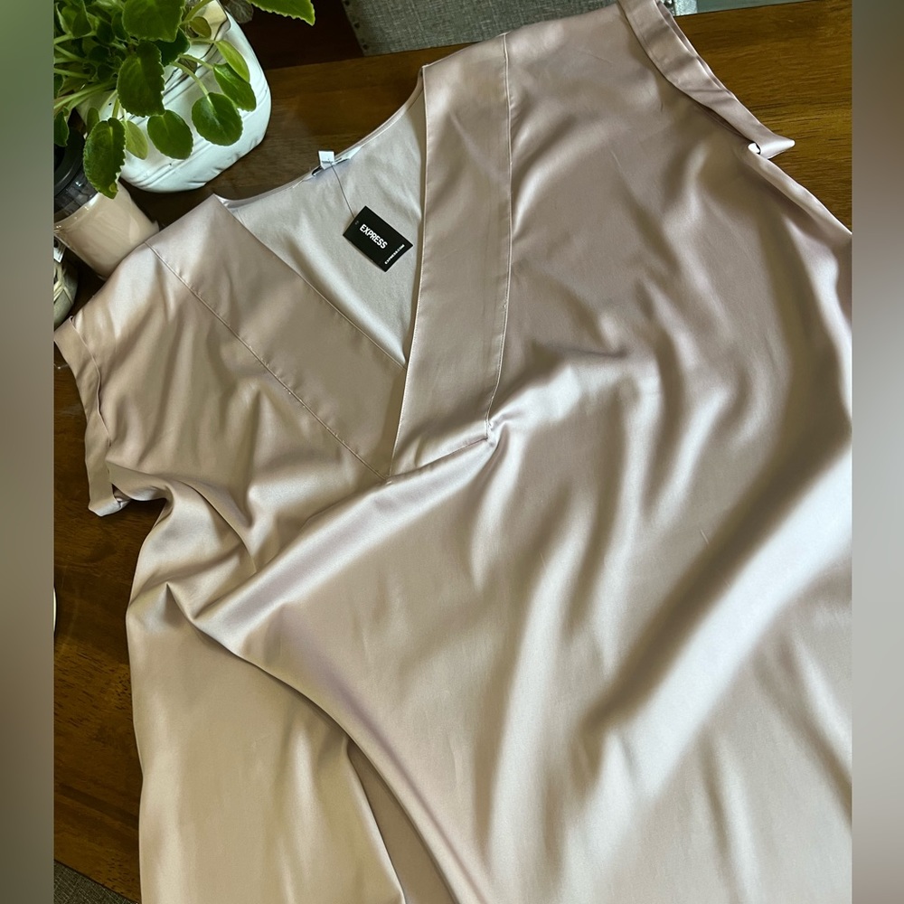 Express Satiny Vneck Top and Tank